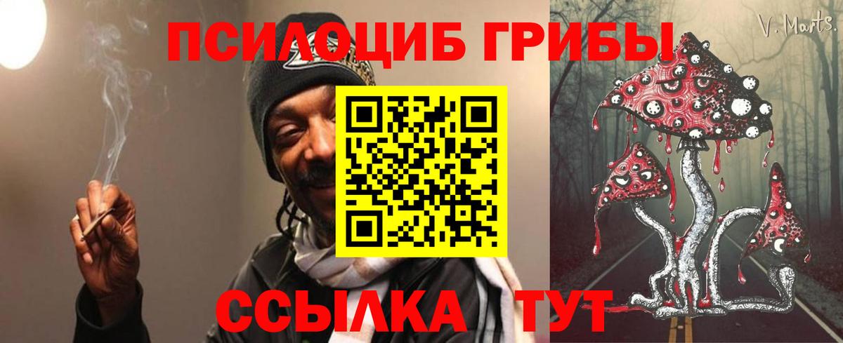 Псилоцибиновые грибы прущие грибы Урюпинск