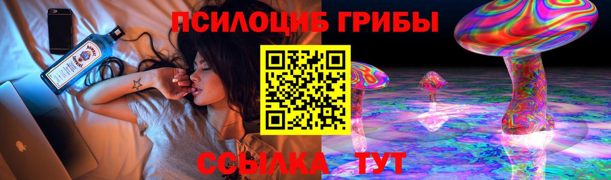 цена   Псилоцибиновые грибы Psilocybine cubensis  Псилоцибиновые грибы MAGIC MUSHROOMS  Вход с VPN  Урюпинск 